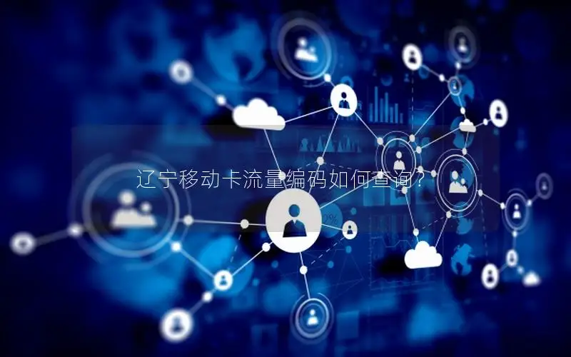 辽宁移动卡流量编码如何查询？