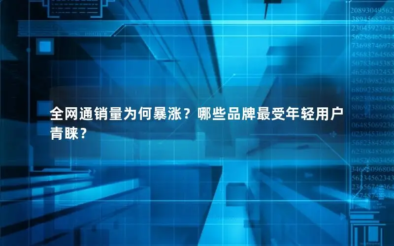 全网通销量为何暴涨？哪些品牌最受年轻用户青睐？