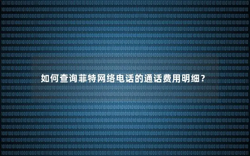 如何查询菲特网络电话的通话费用明细？