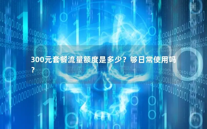 300元套餐流量额度是多少？够日常使用吗？