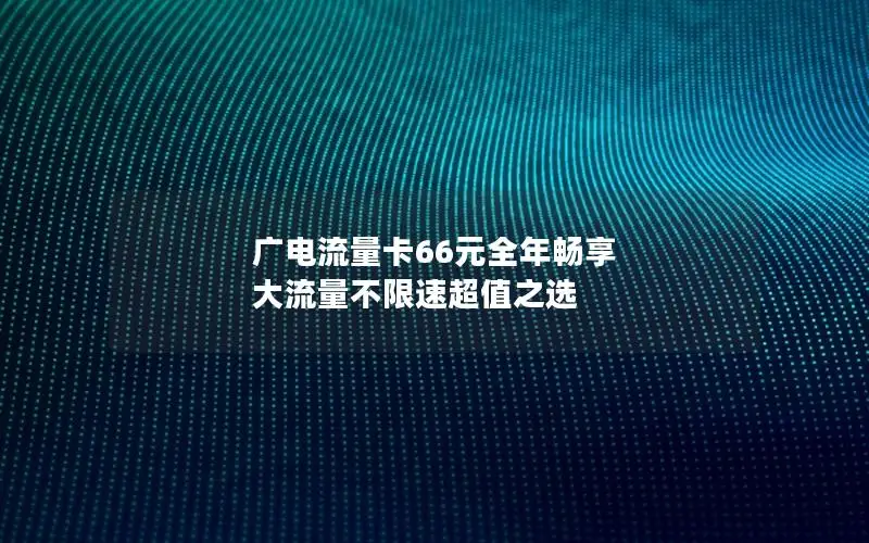 广电流量卡66元全年畅享 大流量不限速超值之选