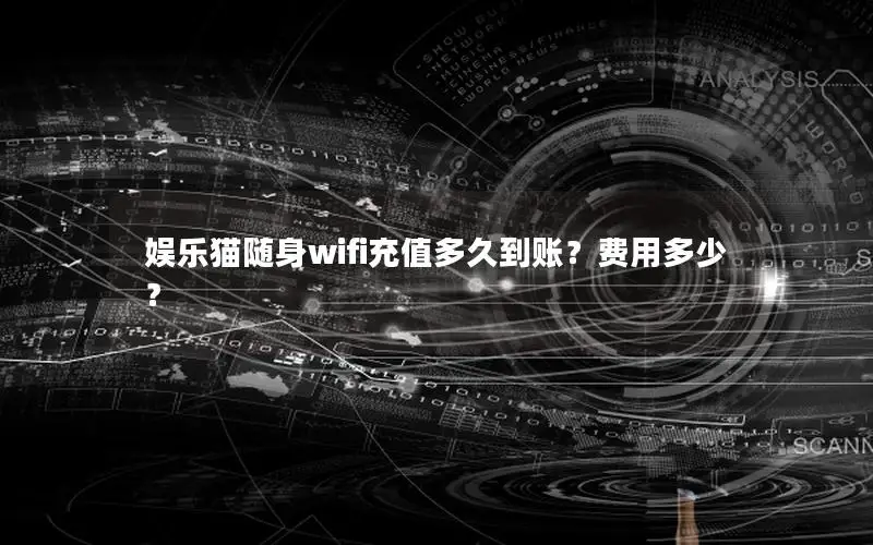 娱乐猫随身wifi充值多久到账？费用多少？
