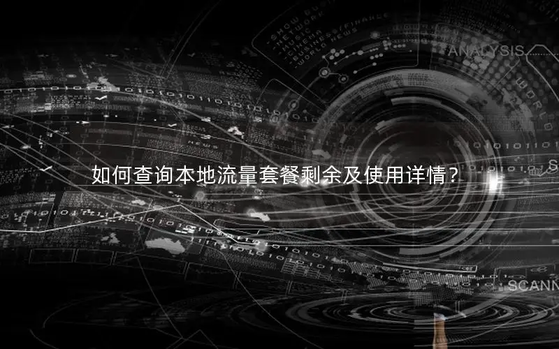 如何查询本地流量套餐剩余及使用详情？