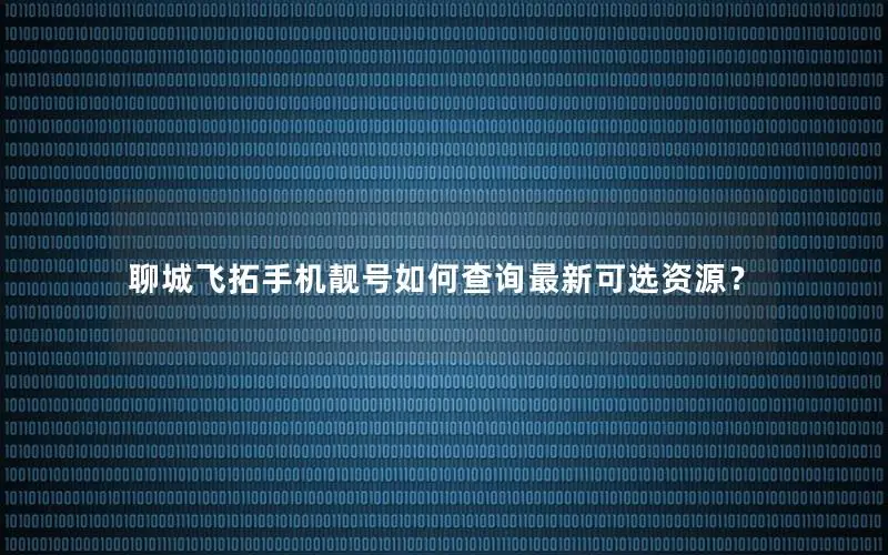 聊城飞拓手机靓号如何查询最新可选资源？