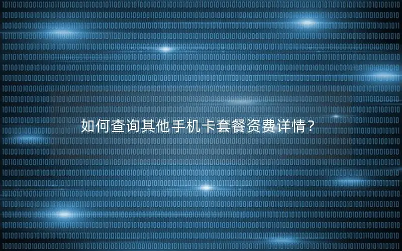 如何查询其他手机卡套餐资费详情？