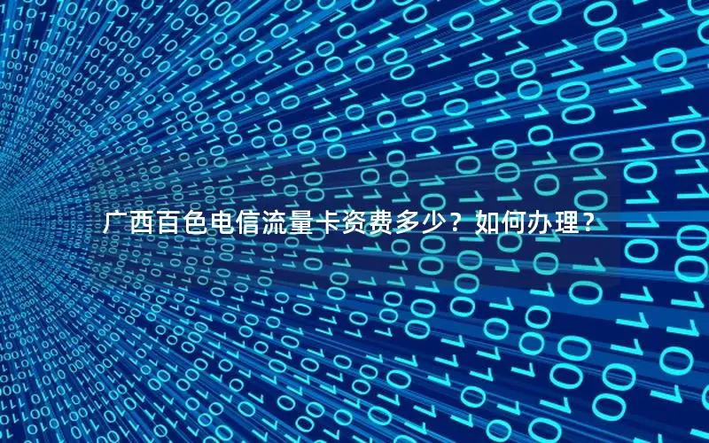 广西百色电信流量卡资费多少？如何办理？