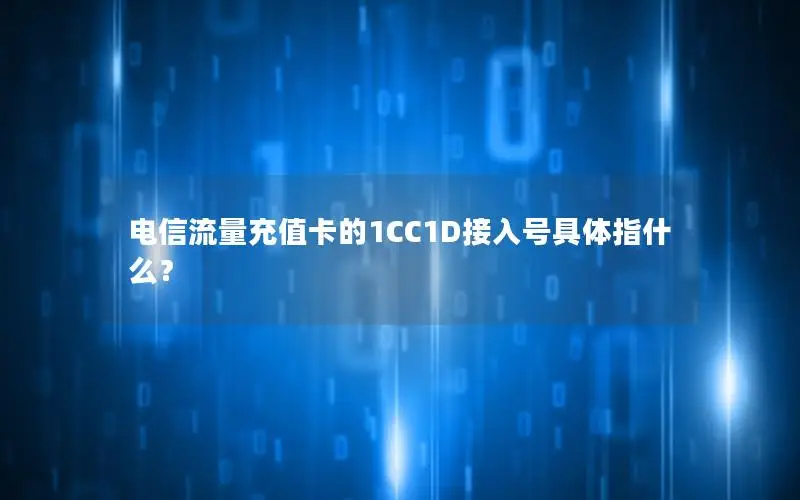 电信流量充值卡的1CC1D接入号具体指什么？