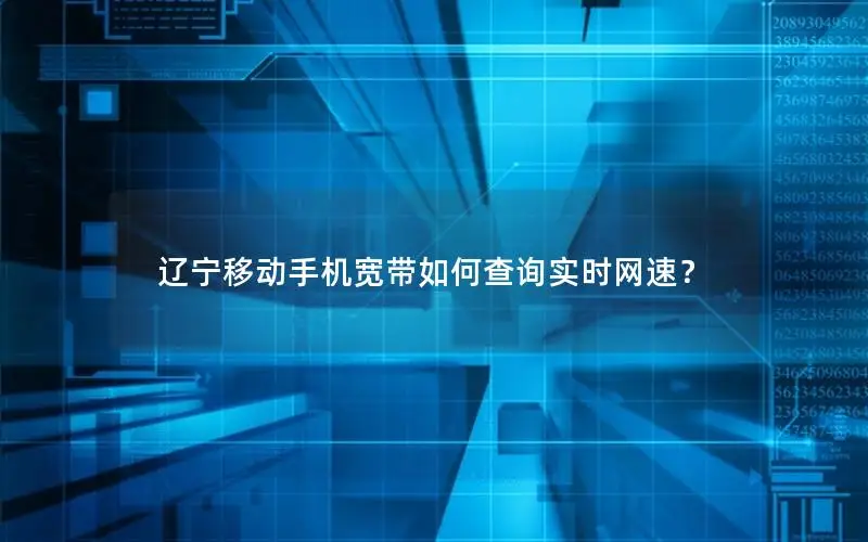 辽宁移动手机宽带如何查询实时网速？