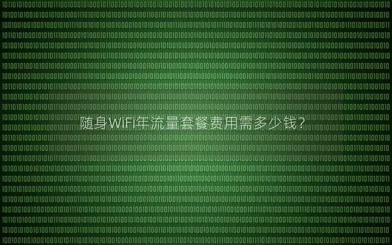 随身WiFi年流量套餐费用需多少钱？