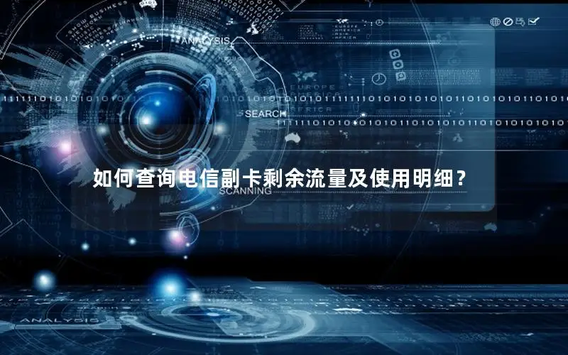 如何查询电信副卡剩余流量及使用明细？