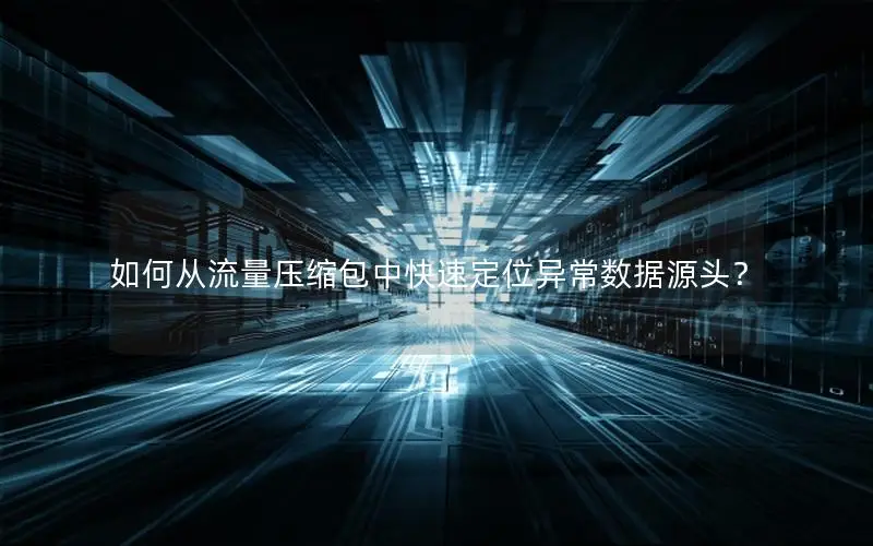 如何从流量压缩包中快速定位异常数据源头？