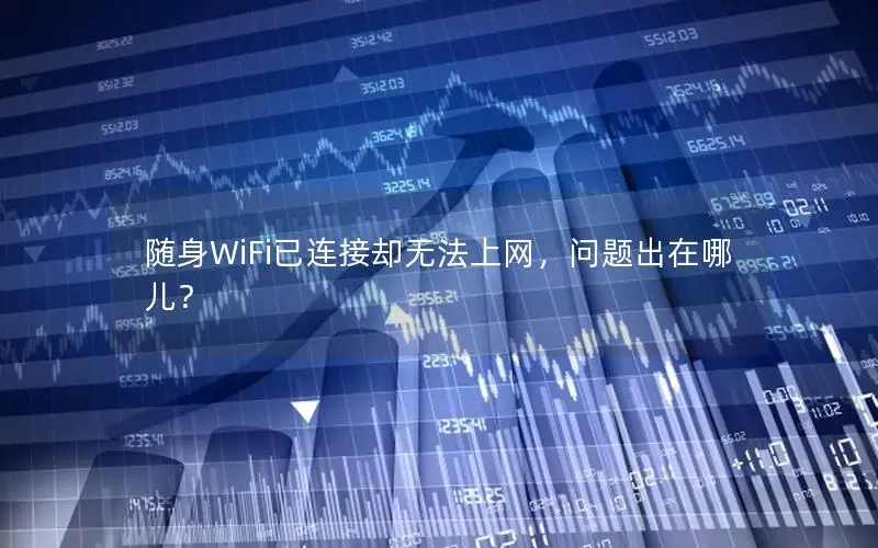 随身WiFi已连接却无法上网，问题出在哪儿？