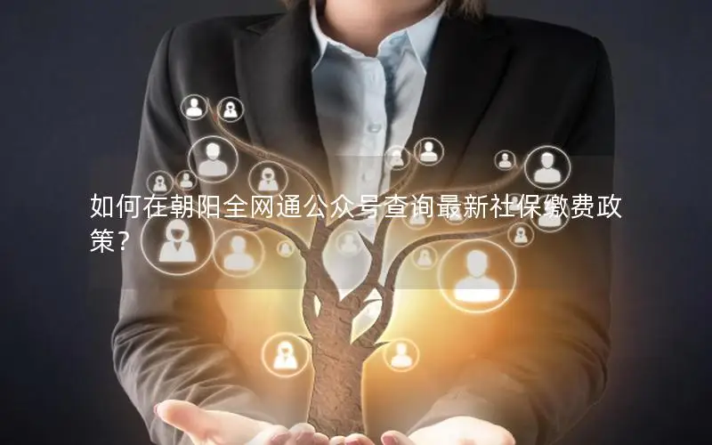 如何在朝阳全网通公众号查询最新社保缴费政策？