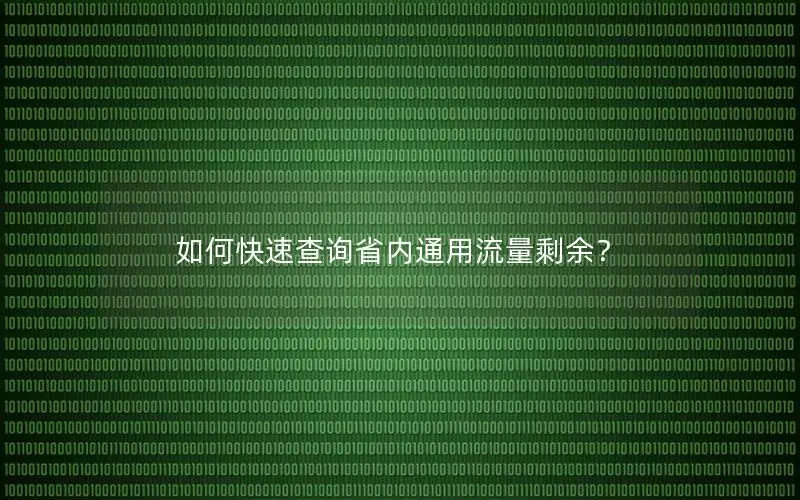 如何快速查询省内通用流量剩余？