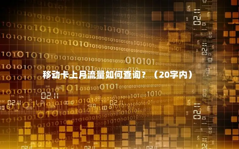 移动卡上月流量如何查询？（20字内）