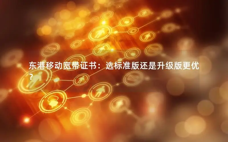 东港移动宽带证书：选标准版还是升级版更优？
