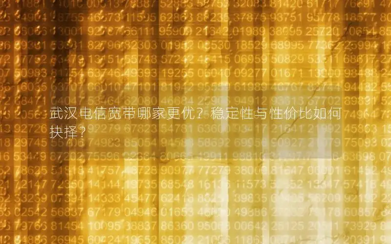 武汉电信宽带哪家更优？稳定性与性价比如何抉择？