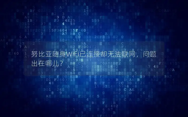 努比亚随身WiFi已连接却无法联网，问题出在哪儿？