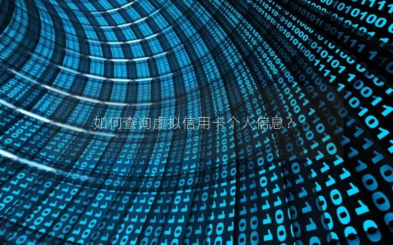 如何查询虚拟信用卡个人信息？