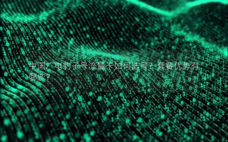 中国广电豹子号流量卡如何选号？套餐优势有哪些？