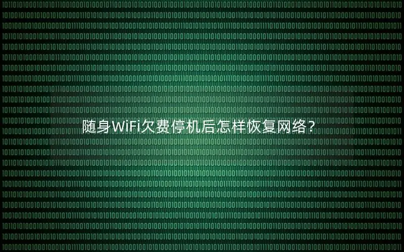 随身WiFi欠费停机后怎样恢复网络？