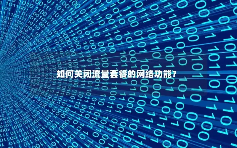 如何关闭流量套餐的网络功能？