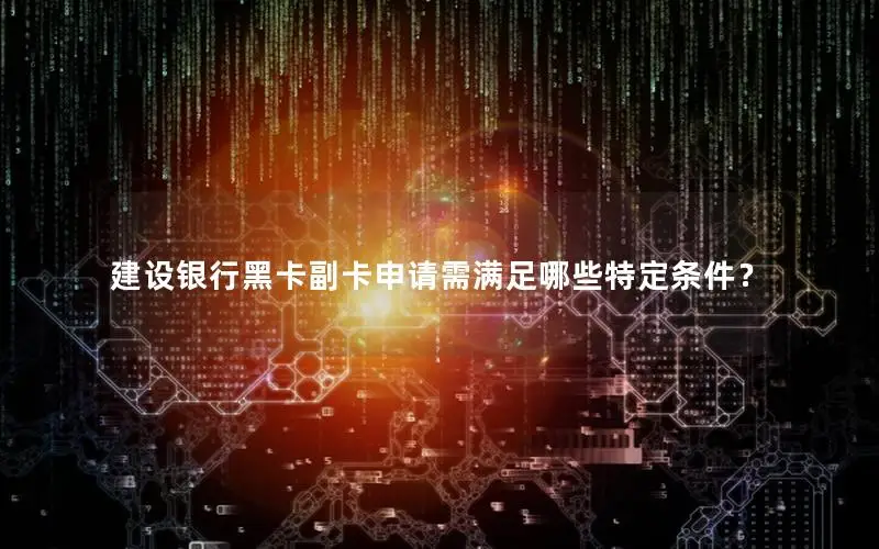 建设银行黑卡副卡申请需满足哪些特定条件？