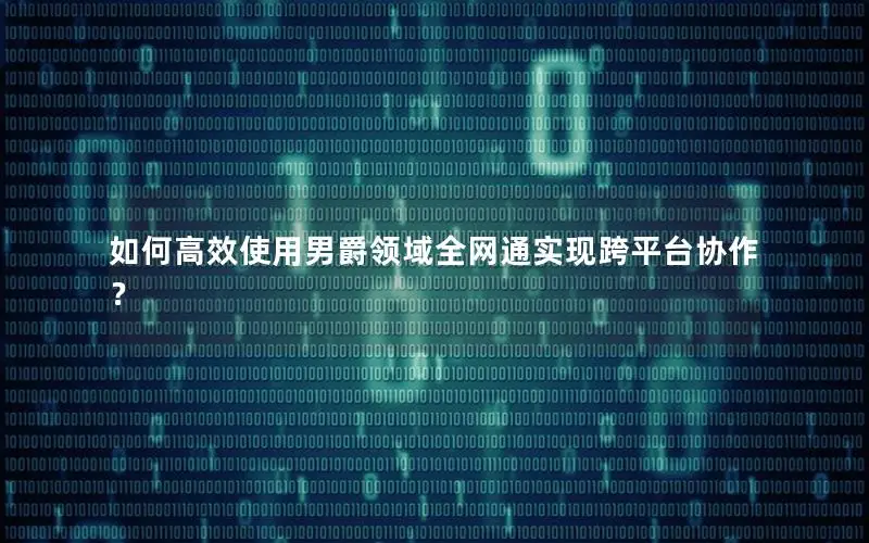 如何高效使用男爵领域全网通实现跨平台协作？