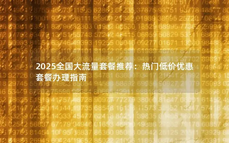 2025全国大流量套餐推荐：热门低价优惠套餐办理指南