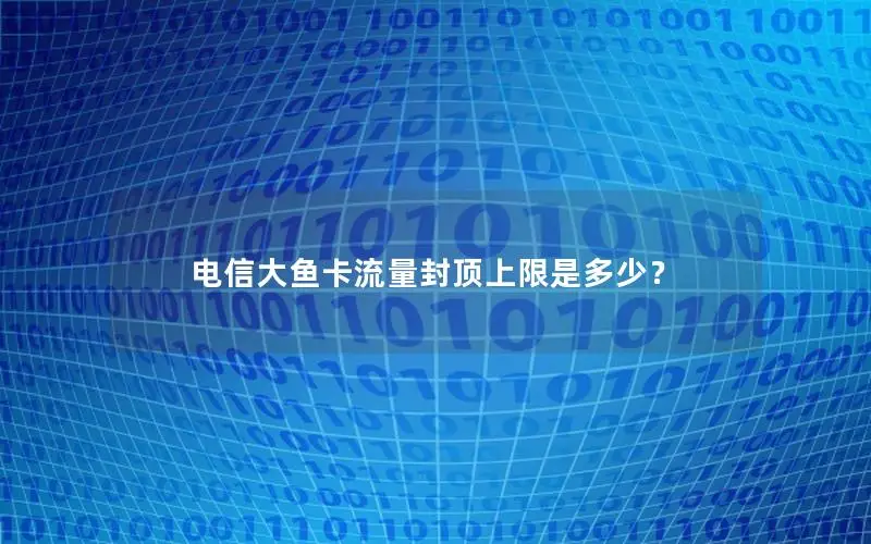 电信大鱼卡流量封顶上限是多少？