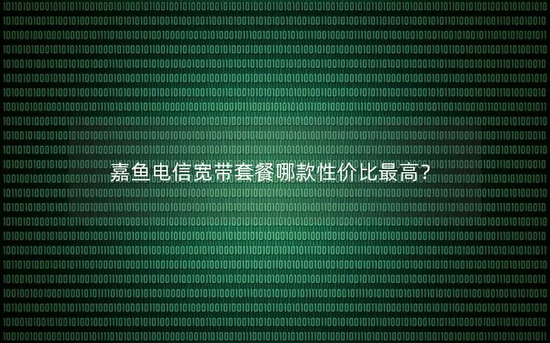 嘉鱼电信宽带套餐哪款性价比最高？