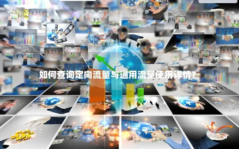 如何查询定向流量与通用流量使用详情？