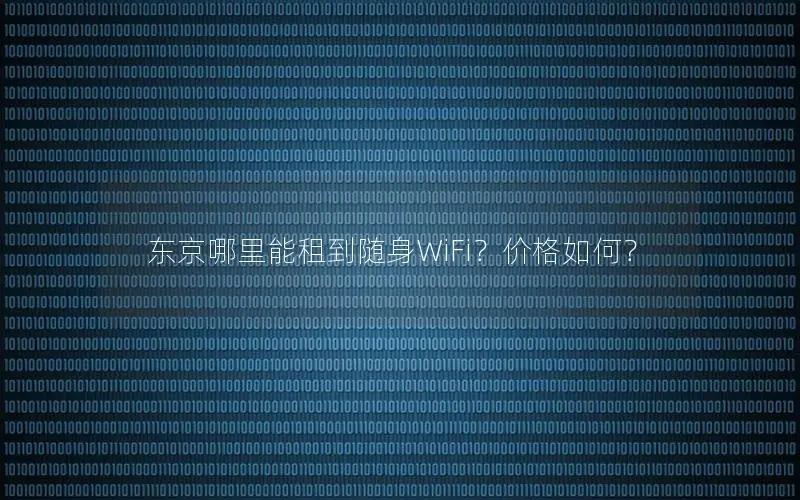 东京哪里能租到随身WiFi？价格如何？