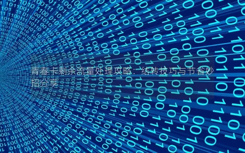 青春卡剩余流量处理攻略：结转技巧与节省妙招分享