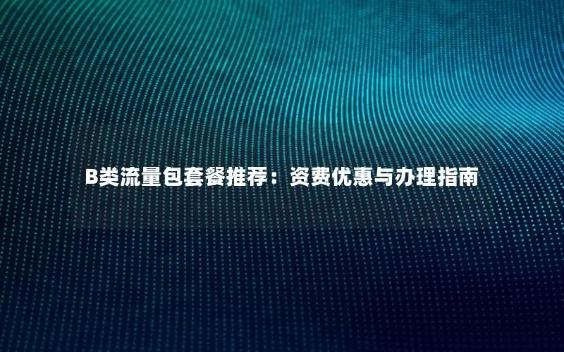 B类流量包套餐推荐：资费优惠与办理指南