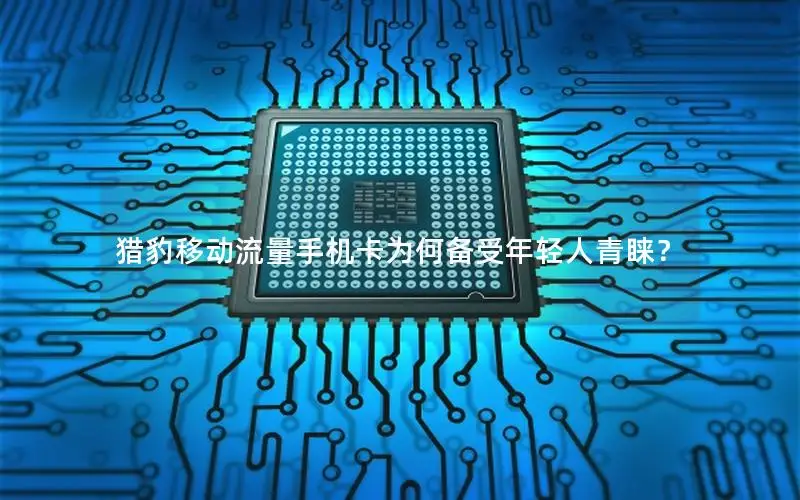 猎豹移动流量手机卡为何备受年轻人青睐？