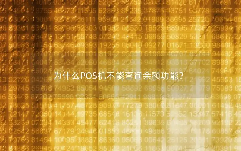 为什么POS机不能查询余额功能？