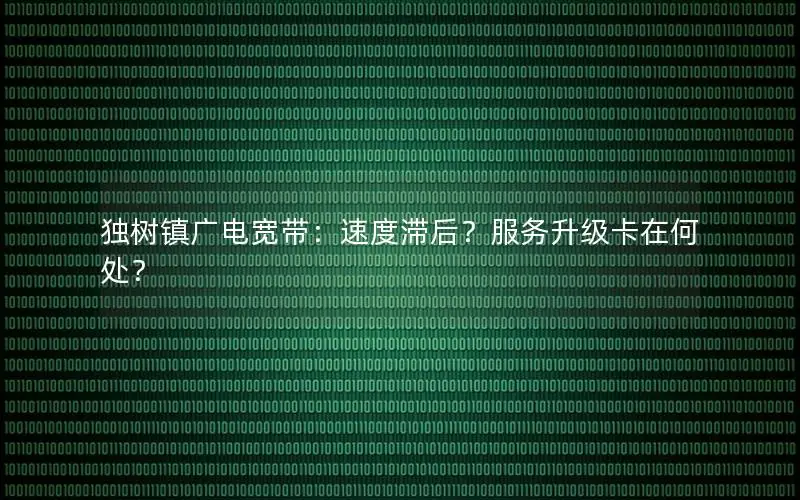 独树镇广电宽带：速度滞后？服务升级卡在何处？