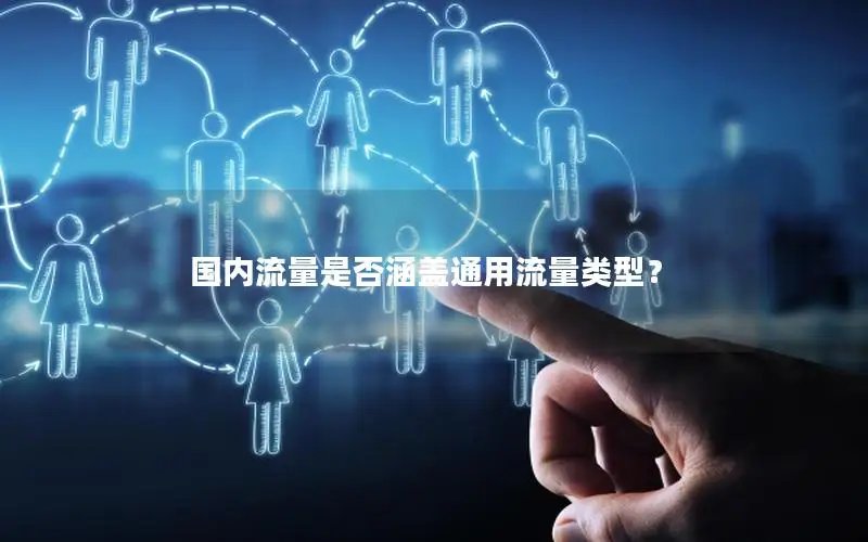 国内流量是否涵盖通用流量类型？