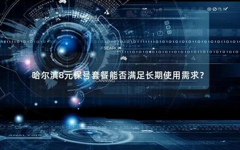 哈尔滨8元保号套餐能否满足长期使用需求？