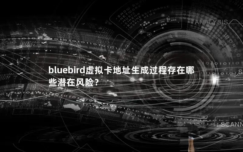 bluebird虚拟卡地址生成过程存在哪些潜在风险？