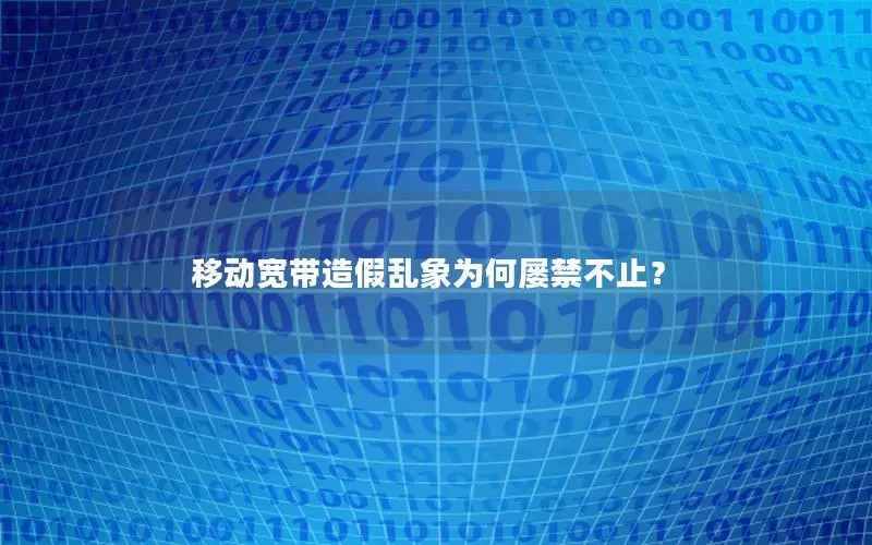 移动宽带造假乱象为何屡禁不止？