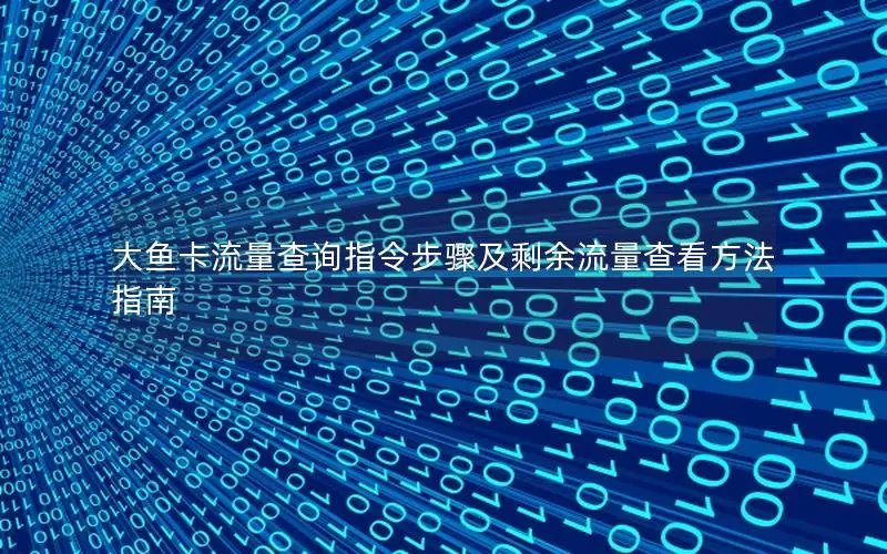 大鱼卡流量查询指令步骤及剩余流量查看方法指南