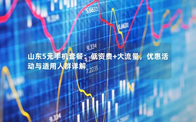 山东5元手机套餐：低资费+大流量，优惠活动与适用人群详解
