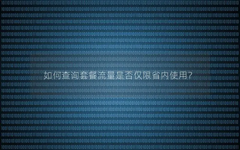 如何查询套餐流量是否仅限省内使用？