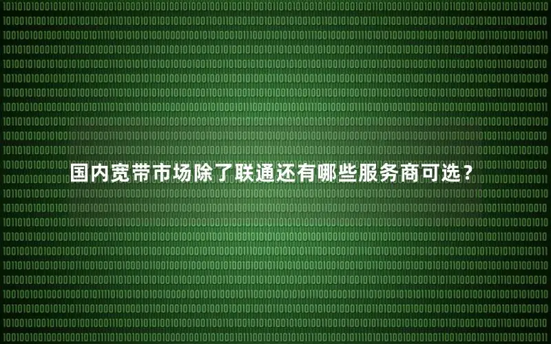国内宽带市场除了联通还有哪些服务商可选？