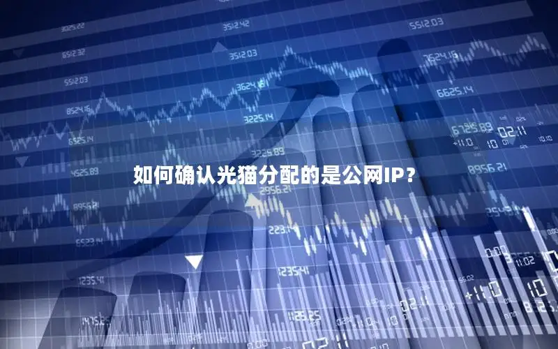 如何确认光猫分配的是公网IP？