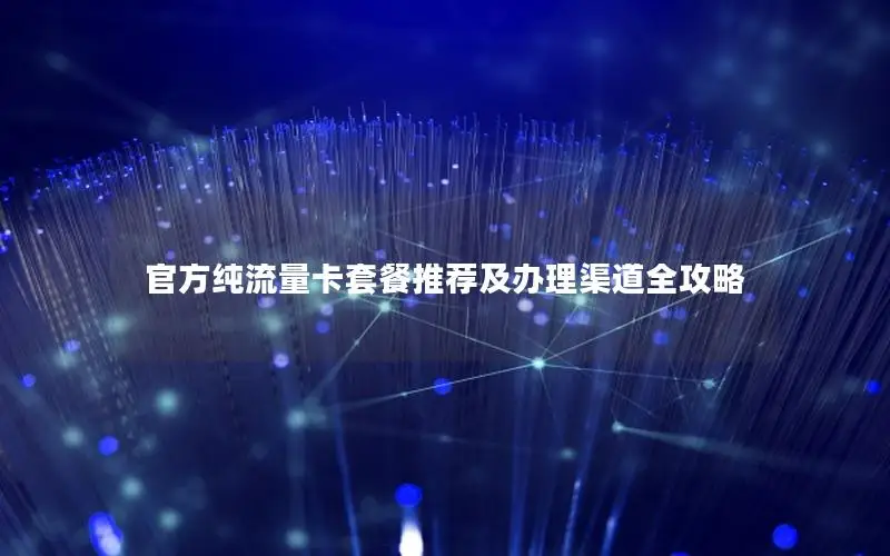 官方纯流量卡套餐推荐及办理渠道全攻略