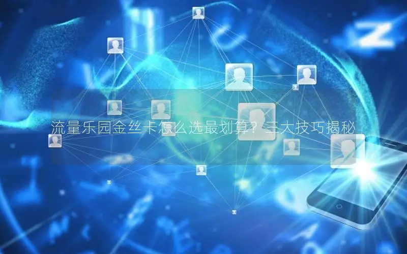 流量乐园金丝卡怎么选最划算？三大技巧揭秘