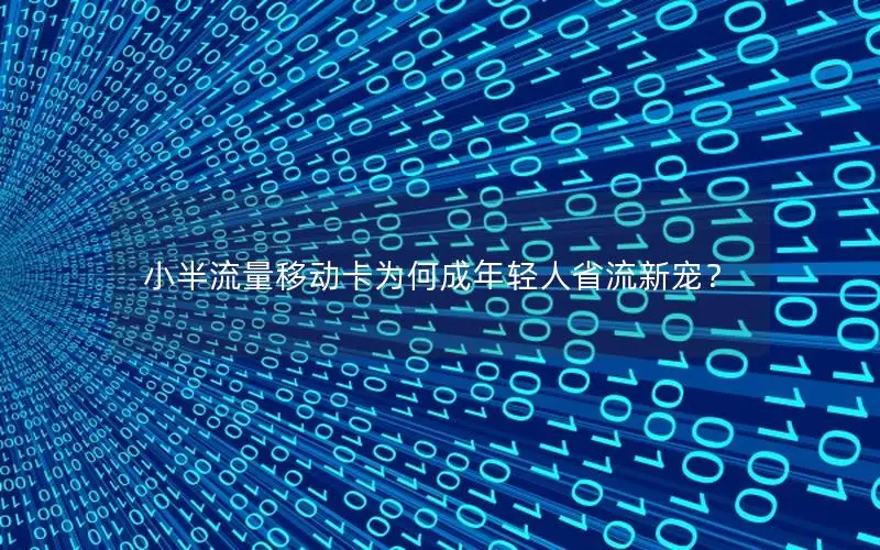 小半流量移动卡为何成年轻人省流新宠？